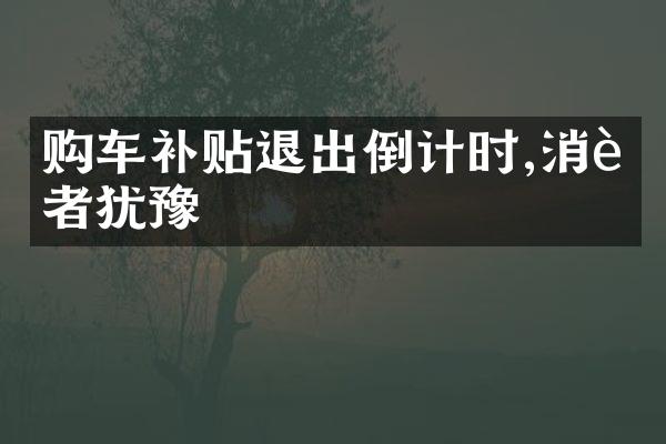 购车补贴退出倒计时,消费者犹豫