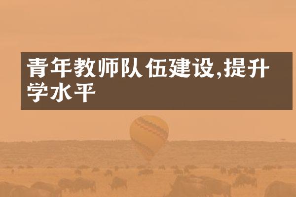 青年教师队伍建设,提升教学水平