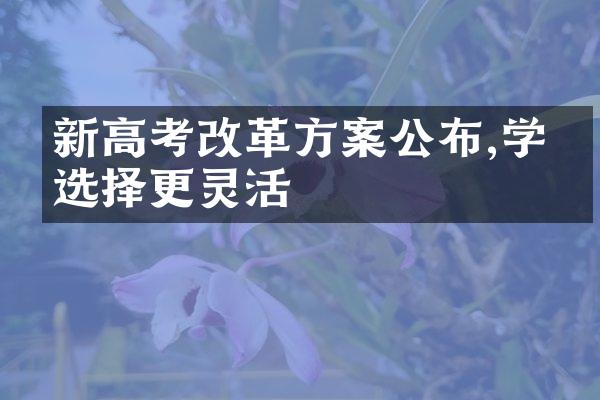 新高考方案公布,学生选择更灵活