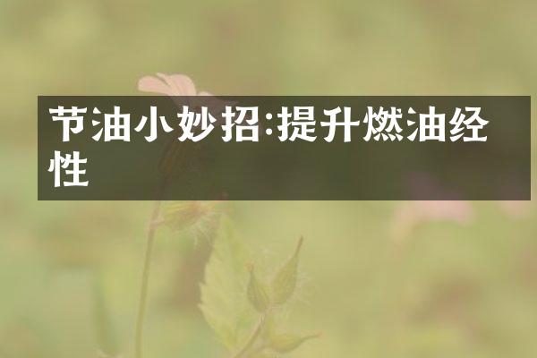 节油小妙招:提升燃油经济性