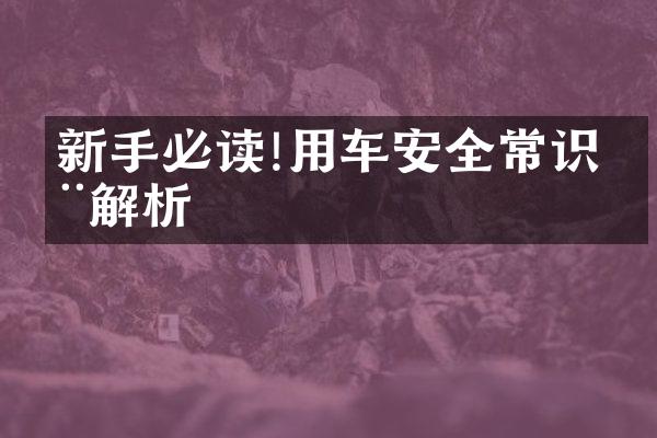 新手必读!用车安全常识全解析