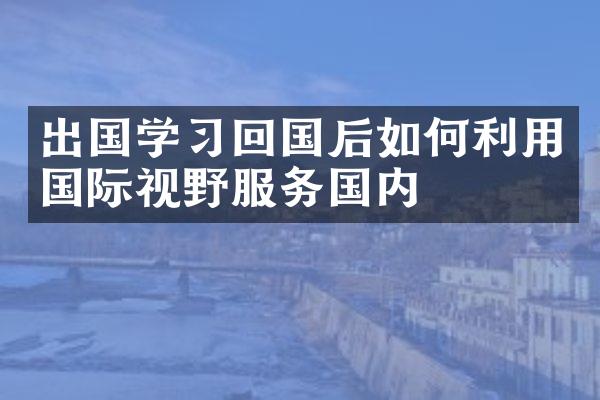 出国学习回国后如何利用国际视野服务国内