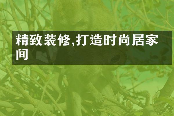 精致装修,打造时尚居家空间