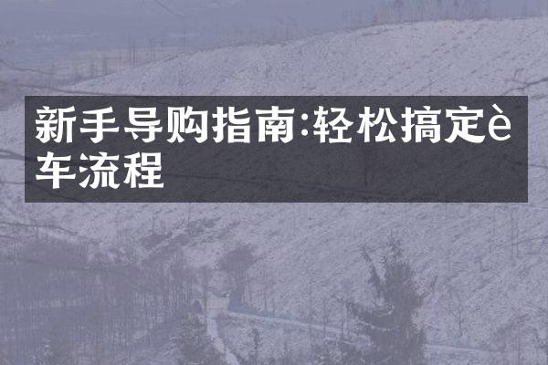 新手导购指南:轻松搞定购车流程