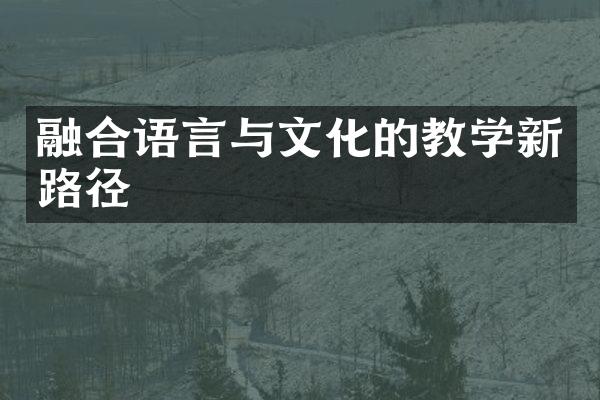 融合语言与文化的教学新路径