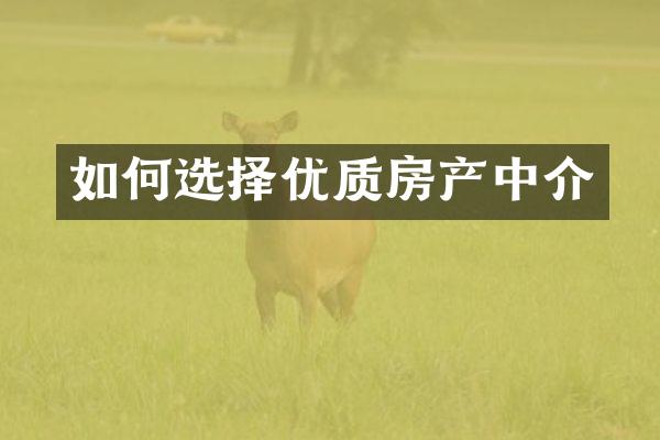 如何选择优质房产中介