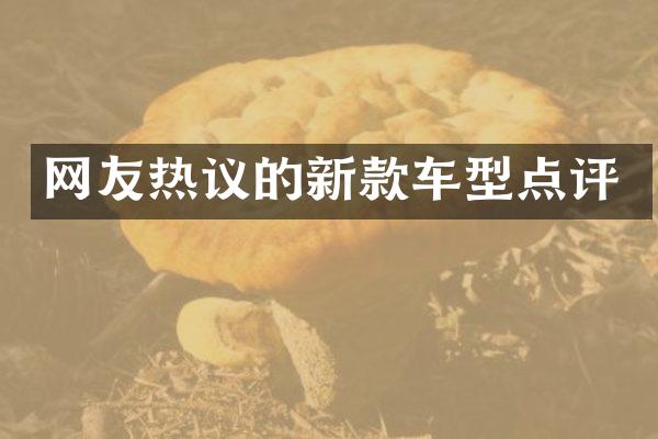 网友热议的新款车型点评