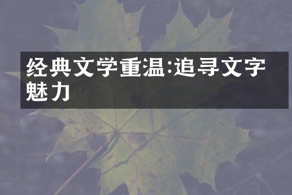 经典文学重温:追寻文字的魅力