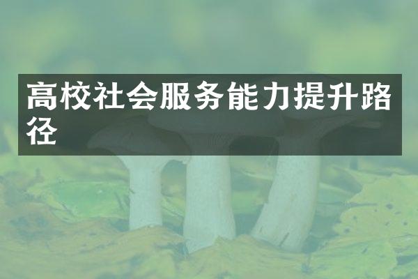 高校社会服务能力提升路径