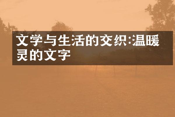 文学与生活的交织:温暖心灵的文字