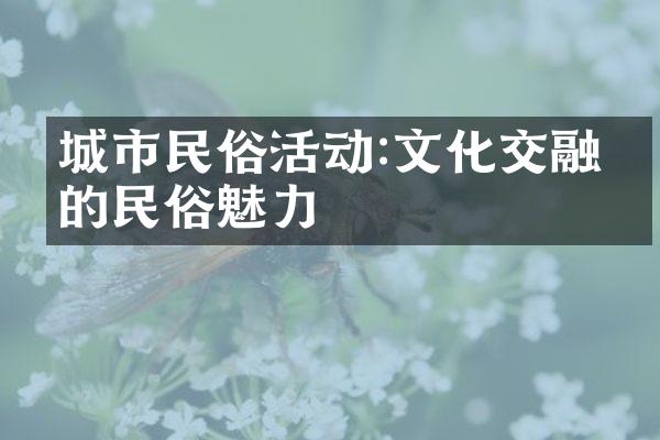 城市民俗活动:文化交融中的民俗魅力