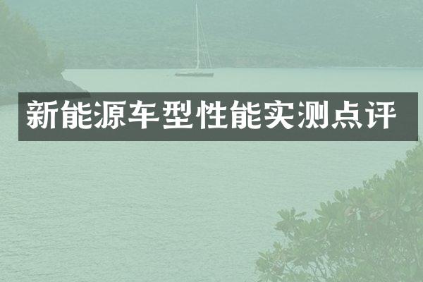 新能源车型性能实测点评