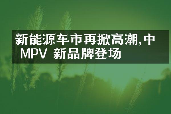 新能源车市再掀高潮,中型 MPV 新品牌登场