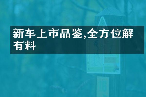 新车上市品鉴,全方位解析有料