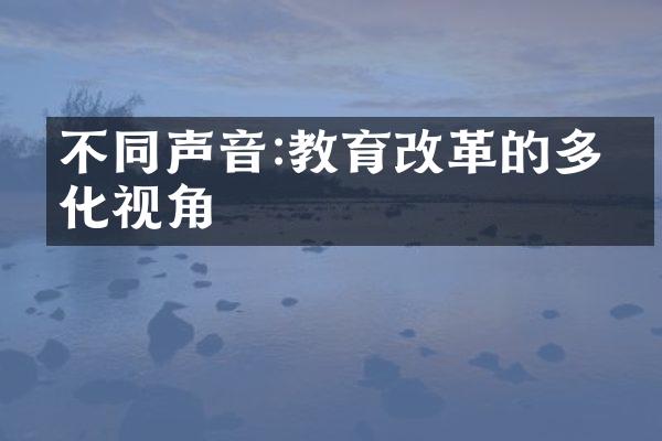 不同声音:教育改革的多元化视角