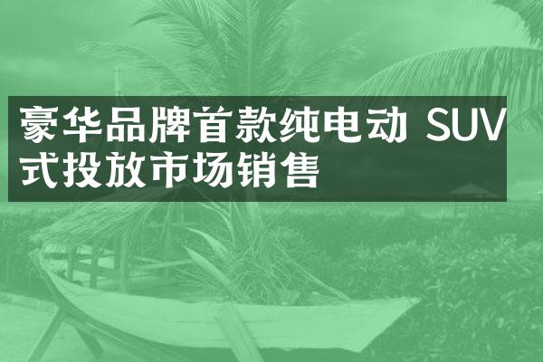 豪华品牌首款纯电动 SUV 正式投放市场销售