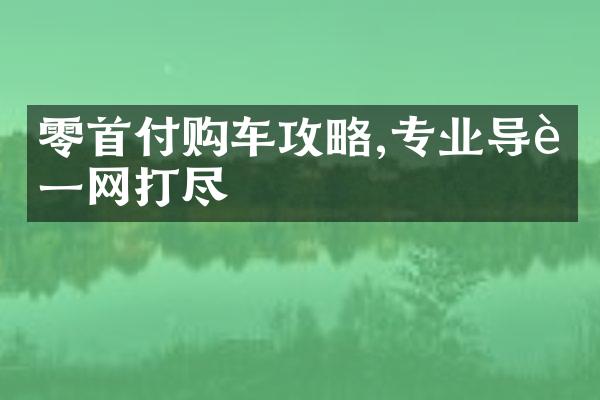 零首付购车攻略,专业导购一网打尽