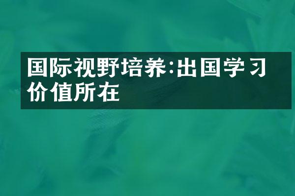 国际视野培养:出国学的价值所在