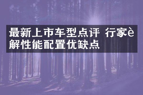 最新上市车型点评 行家详解性能配置优缺点