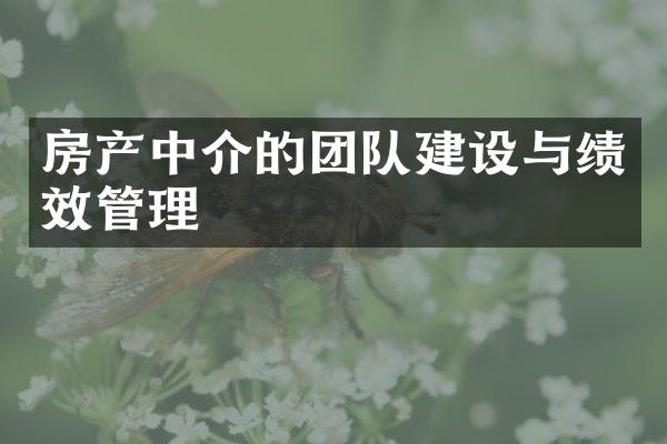 房产中介的团队建设与绩效管理