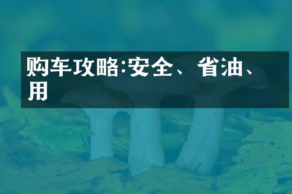 购车攻略:安全、油、实用