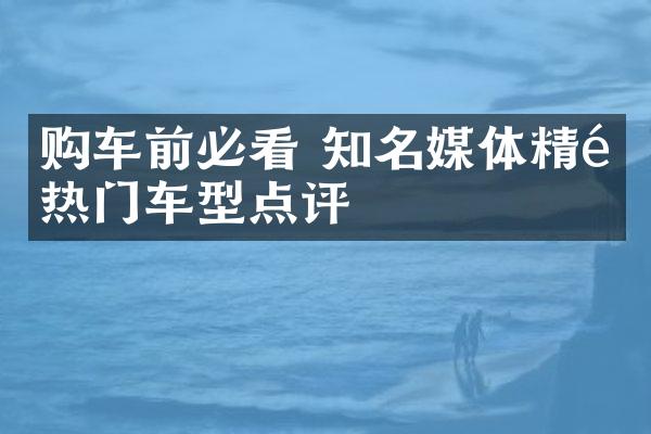 购车前必看 知名媒体精选热门车型点评