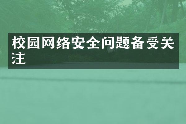 校园网络安全问题备受关注