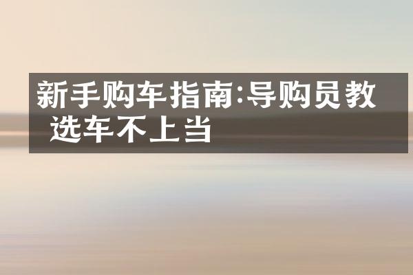 新手购车指南:导购员教你选车不上当