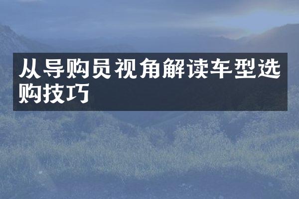 从导购员视角解读车型选购技巧