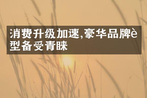 消费升级加速,豪华品牌车型备受青睐