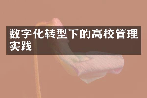 数字化转型下的高校管理实践