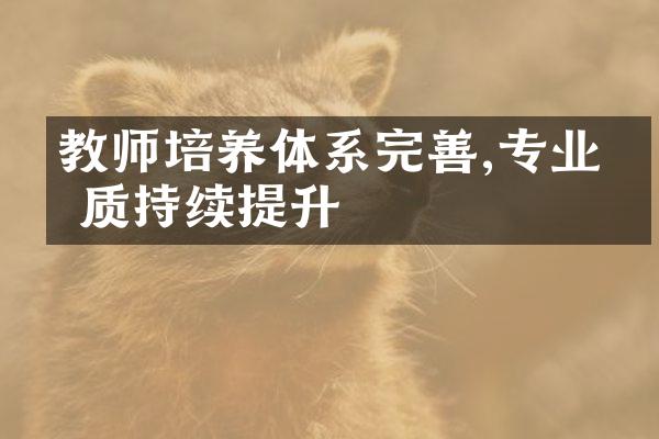 教师培养体系完善,专业素质持续提升