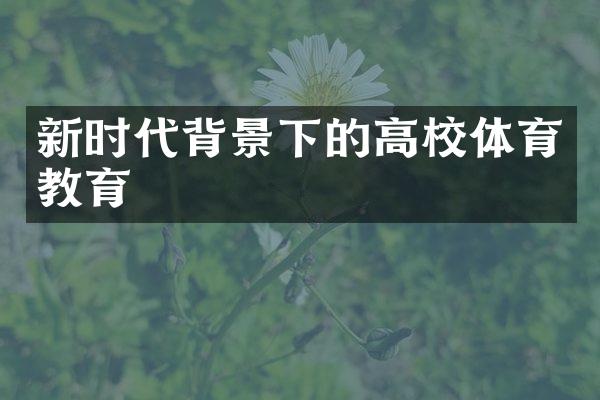 新时代背景下的高校体育教育