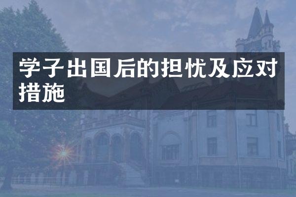 学子出国后的担忧及应对措施