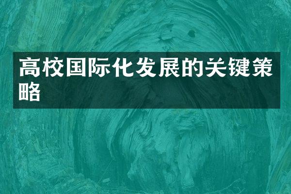 高校国际化发展的关键策略