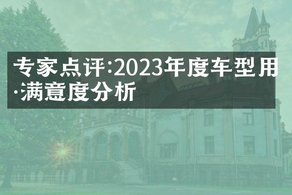 专家点评:2023年度车型用户满意度分析