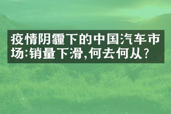 疫情阴霾下的中国汽车市场:销量下滑,何去何从?