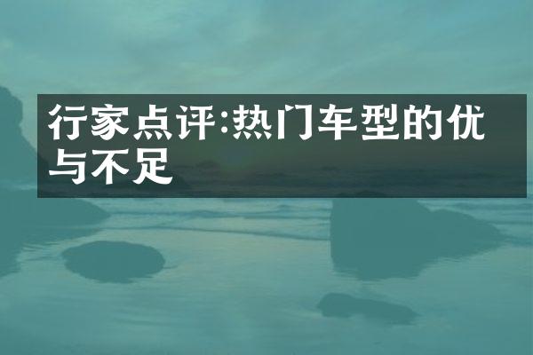 行家点评:热门车型的优势与不足