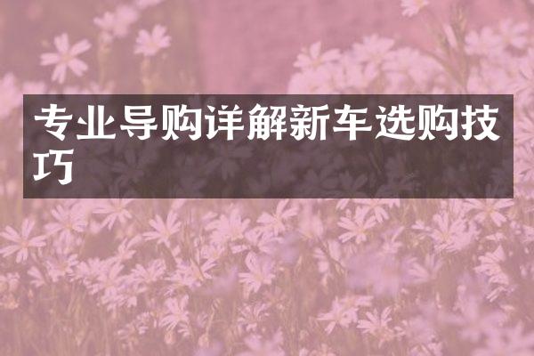 专业导购详解新车选购技巧