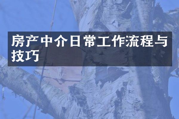 房产中介日常工作流程与技巧