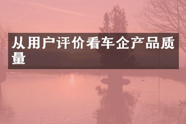 从用户评价看车企产品质量