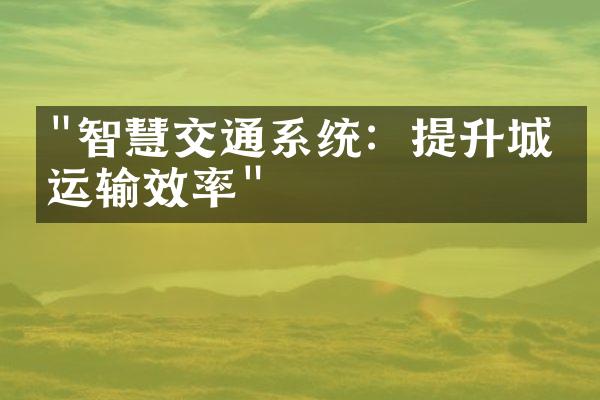 "智慧交通系统：提升城市运输效率"