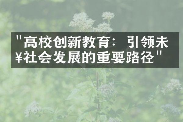 "高校创新教育：引领未来社会发展的重要路径"