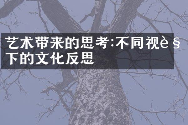 艺术带来的思考:不同视角下的文化反思