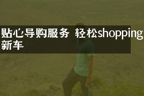 贴心导购服务 轻松shopping新车