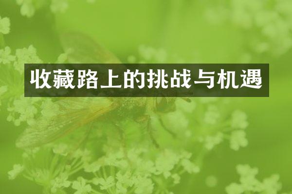 收藏路上的挑战与机遇