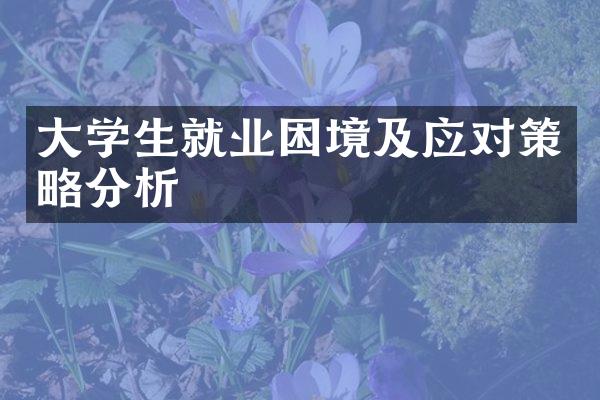 大学生就业困境及应对策略分析