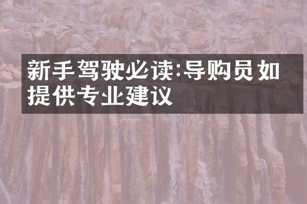 新手驾驶必读:导购员如何提供专业建议