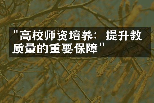 "高校师资培养：提升教学质量的重要保障"