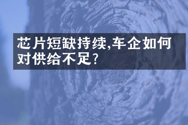 芯片短缺持续,车企如何应对供给不足?